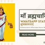 Maa Brahmacharini Whatsapp Status