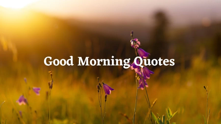 Goodmorning Quotes in Hindi