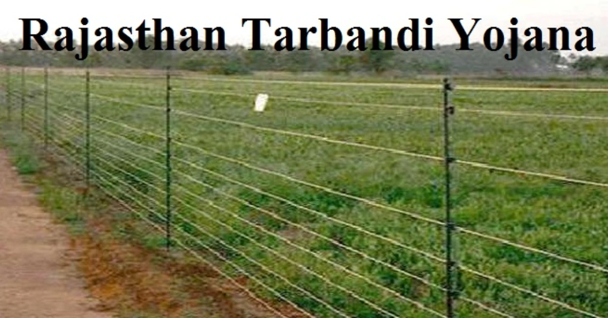 Rajasthan Tarbandi Yojana