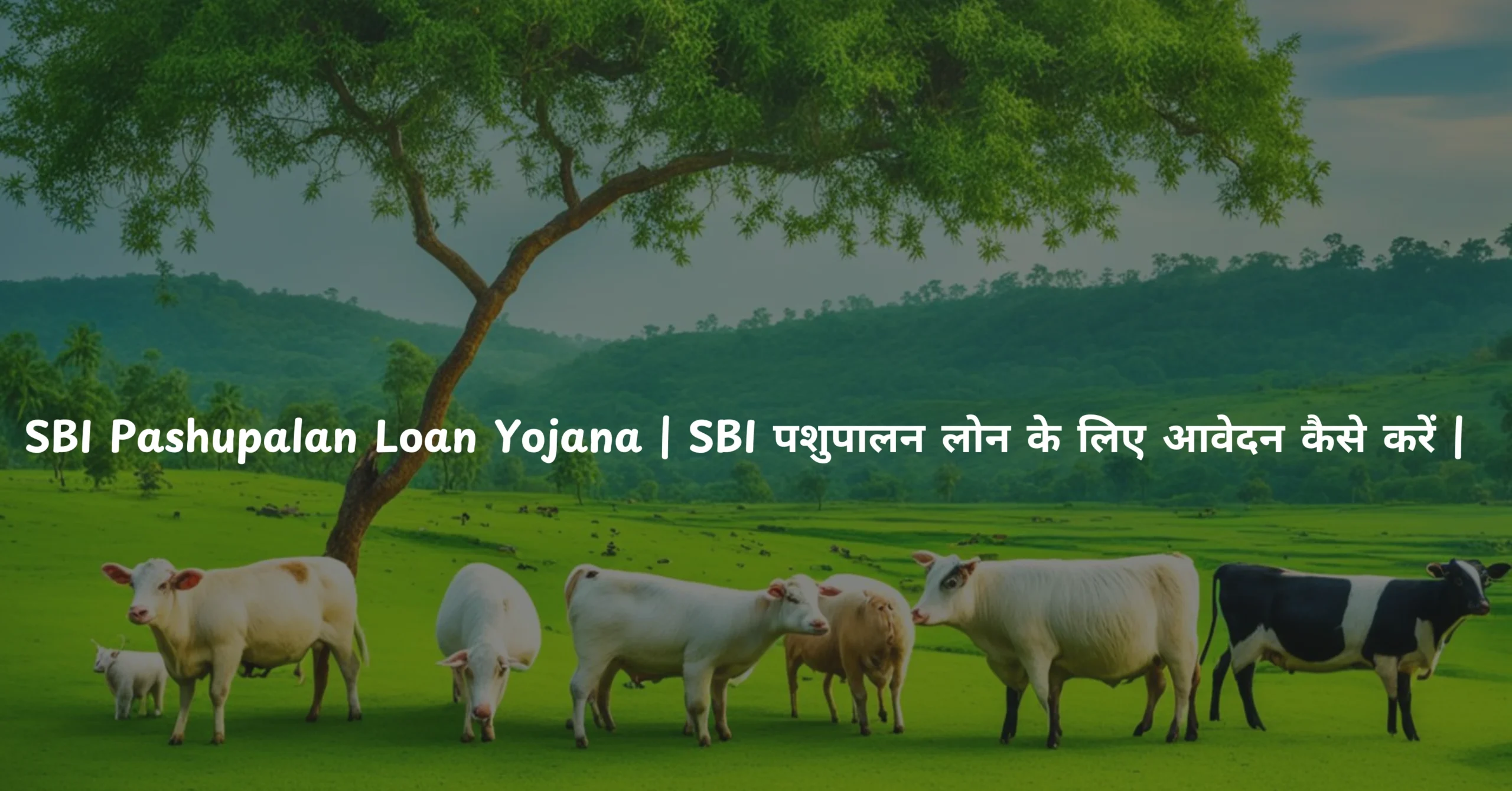 SBI Pashupalan Loan Yojana |