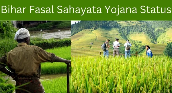 Bihar Fasal Sahayata Yojana Status